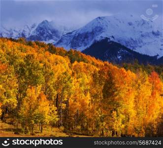 autumn season in mountains