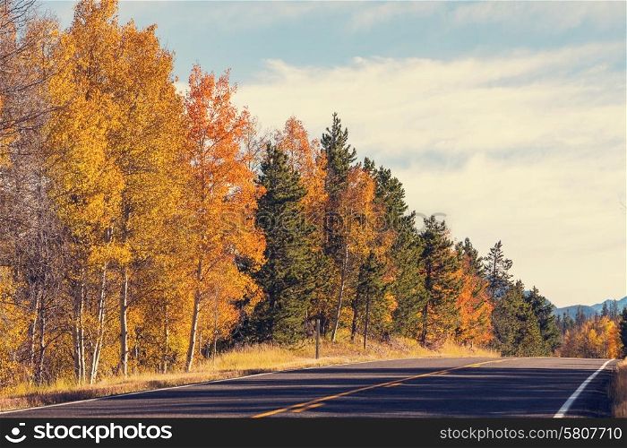 Autumn season in Sierra Nevada