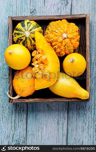 Autumn seasonal background with pumpkinsin box.Autumn nature concept. Autumn pumpkin in box