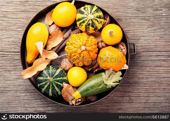 Autumn seasonal background with pumpkinsin tray.Autumn nature concept. Autumn pumpkin in tray