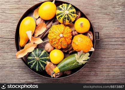 Autumn seasonal background with pumpkinsin tray.Autumn nature concept. Autumn pumpkin in tray