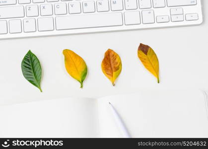 Autumn seasonal workplace. Autumn workplace with fallen leaves, keyboard and notebook, view from above