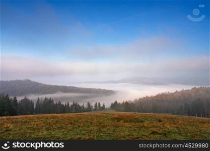 Autumn September foggy morning in Carpathian mountains