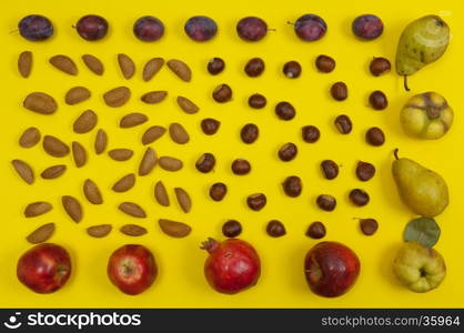 Autumn setting of organic in shell nuts and fruits on yellow background