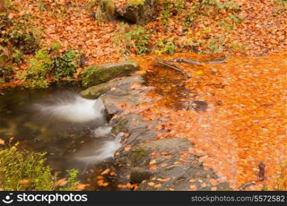Autumn shot of the portuguese national park of geres