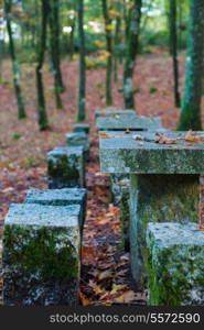 Autumn shot of the portuguese national park of geres