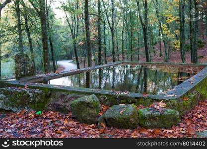 Autumn shot of the portuguese national park of geres