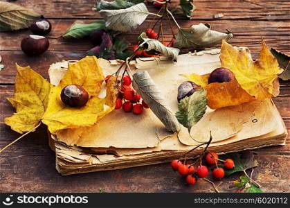 Autumn still life.. Autumn still life.The composition with the fallen leaves