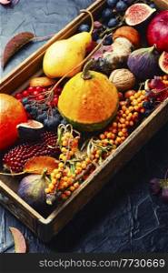 Autumn still life of pumpkins, mushrooms, apples, figs and berries.Seasonal food. Autumn still life with autumn harvest