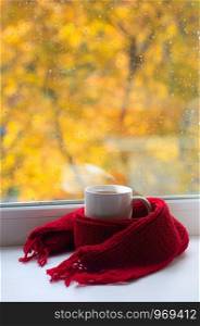 Autumn still life - Warm knitted scarf and cup of tea near a window, copy space.