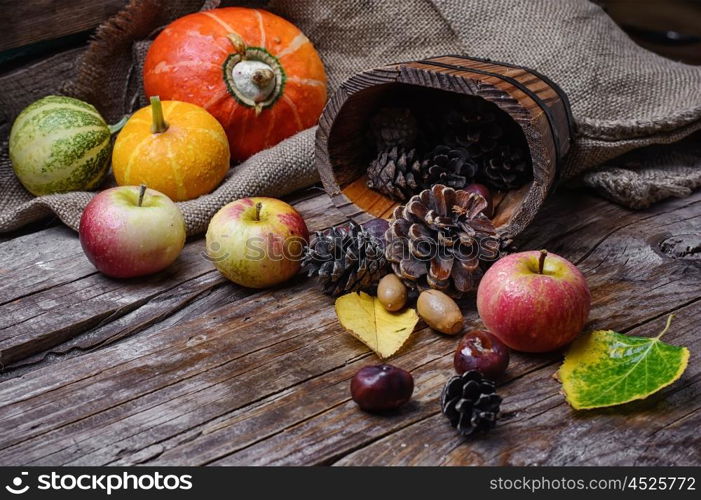 Autumn still life with apples,pumpkins and pine cones in rustic style