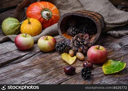 Autumn still life with apples,pumpkins and pine cones in rustic style