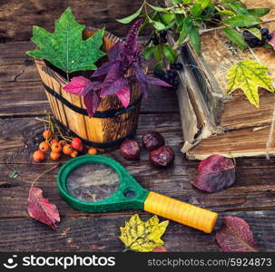 Autumn still life with autumn leaves,old books and wooden bucket