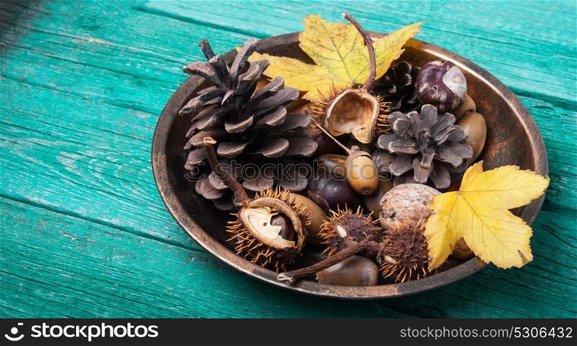autumn still life with cones, acorns, nuts and fallen leaves. symbolic autumn Ikebana