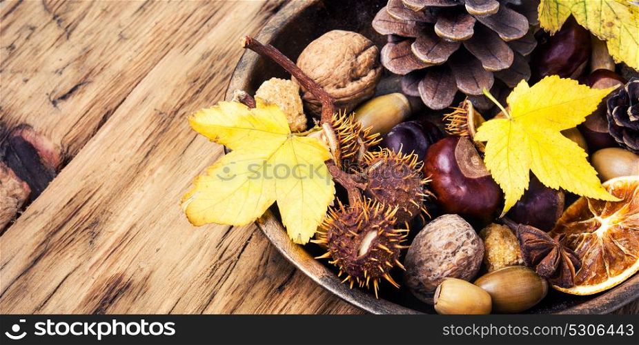 autumn still life with cones, acorns, nuts and fallen leaves. symbolic autumn Ikebana