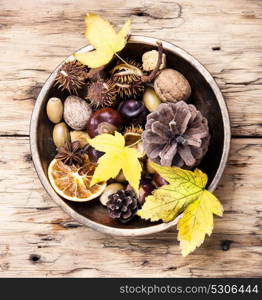 autumn still life with cones, acorns, nuts and fallen leaves. symbolic autumn Ikebana