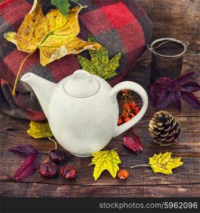 Autumn still life with kettle. White teapot on background of warm blankets and fallen leaves