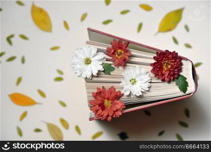 Autumn still life with open book and chrysanthemum flowers