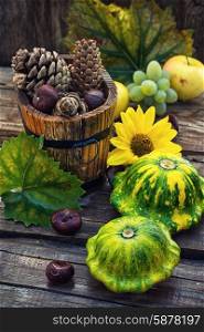 Autumn still life with squash. autumn harvest squash on the background of wooden tubs with cones strewn foliage.