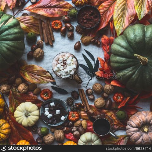 Autumn still life with various colorful pumpkins, fall leaves ,nuts, mug of hot chocolate , marshmallow , cinnamon stick, acorns and chestnuts top view , flat lay,