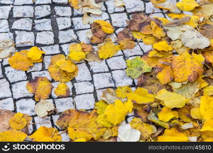autumn street in Lisbon with yellow leaves on paved walkway from square bricks