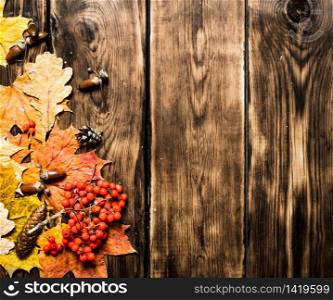 Autumn style. Maple leaves with pine cones and Rowan. On wooden background.. Autumn style. Maple leaves with pine cones and Rowan.