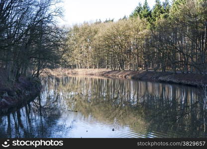 autumn sunloght with tree reflection in water