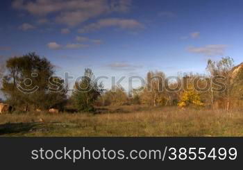 Autumn sunny day.