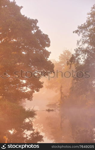 Autumn sunrise rural landscape. Fog on river. October fall calm morning misty scene. Alder, willow trees on riverbank, Belarus