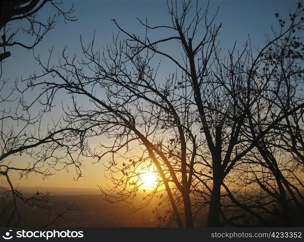 Autumn sunset middle the trees. Fall in Pyatigorsk
