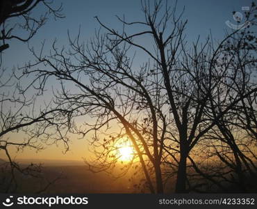 Autumn sunset middle the trees. Fall in Pyatigorsk