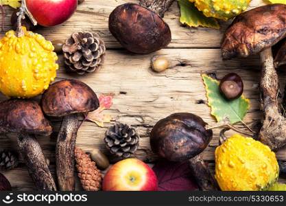 Autumn symbolic still life. Autumn background with forest mushrooms, pumpkin, cones and apple.Copy space