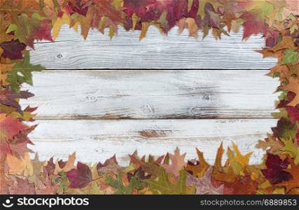 Autumn Thanksgiving foliage background on white rustic wood. Complete outside border with copy space in middle