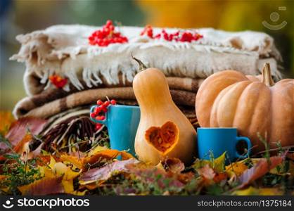 Autumn thanksgiving romantic still life with stacked plaids, pumpkins, apples, berries and coffee cups. Autumn thanksgiving still life