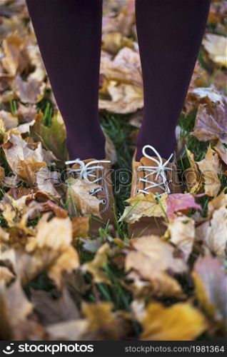 autumn. the girl is walking in the park. women&rsquo;s shoes in the autumn foliage