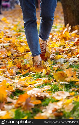 autumn. the girl is walking in the park. women shoes in the autumn foliage