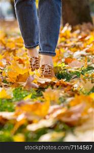 autumn. the girl is walking in the park. women shoes in the autumn foliage