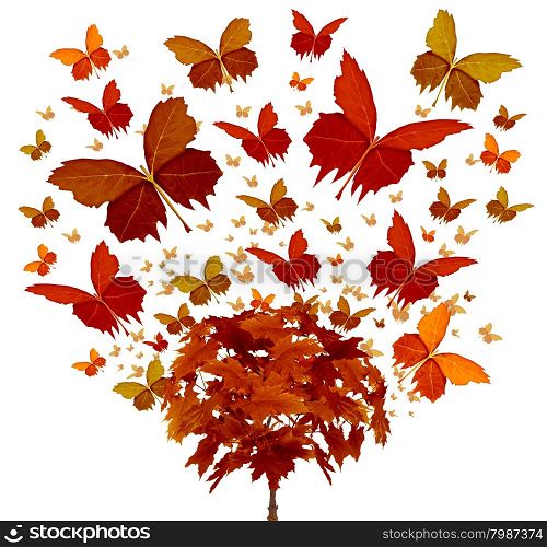 Autumn tree concept with magical orange and yellow seasonal leaves flying in the wind transforming into the shape of an open wing butterfly as a symbol of fall celebration and creative freedom.