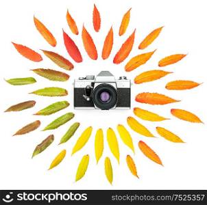 Autumn tree leaves and vintage photo camera isolated on white background. Minimal concept. Flat lay round shape