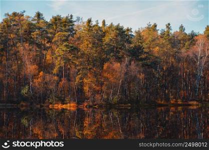 Autumn tree reflections in forest lake still water at fall calm morning