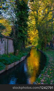 Autumn trees and a creek in sunny autumn park by sunshine - sunny autumn landscape in bright sunlight. Autumn park sunset scene. Fallen autumn leaves in the autumn park. Autumn trees and a creek