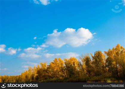 Autumn trees in the southern Urals in September