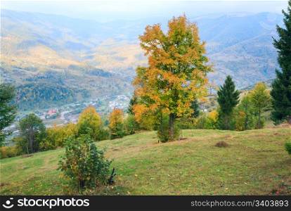 Autumn trees on Carpathian mountainside (and village in river valley behind).