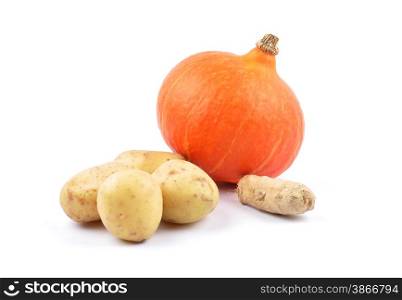 Autumn vegetable
