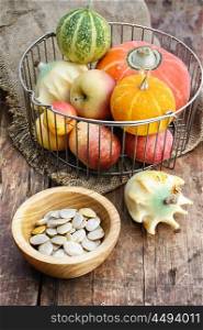 Autumn vegetables and fruits. Set of pumpkins with seeds from the autumn harvest