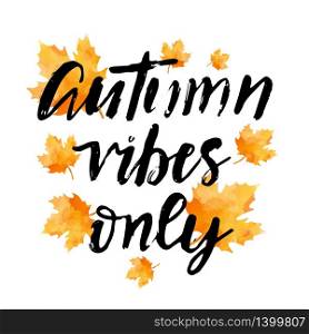 Autumn vibes only hand lettering phrase on orange watercolor leaf background. Hello autumn hand lettering phrase on orange watercolor maple leaf background