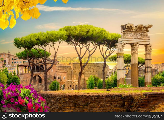 Autumn view of the Roman Forum in Rome, Italy. Autumn view of Roman Forum