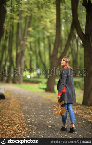 autumn view, people in the park on the background of autumn trees / beautiful autumn concept weather fall