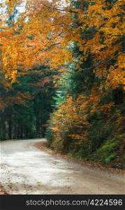 Autumn winding secondary road in the mountain forest
