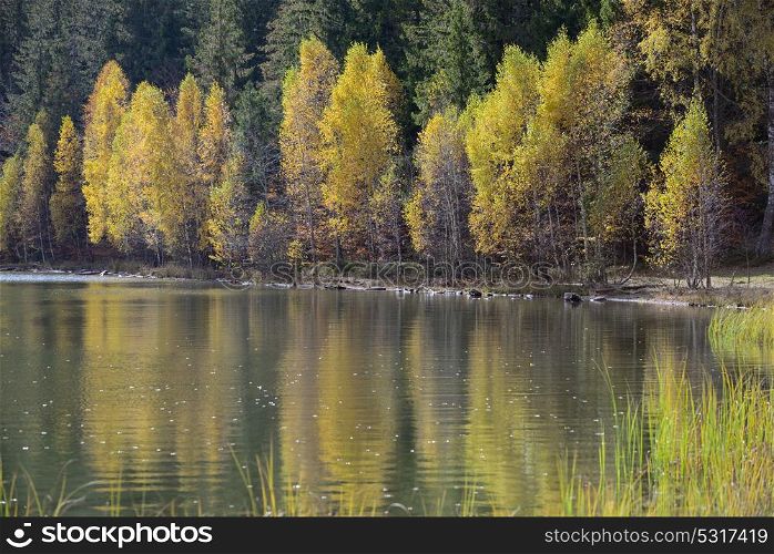 Autumn with the yellow foliage in Lake Saint Ann